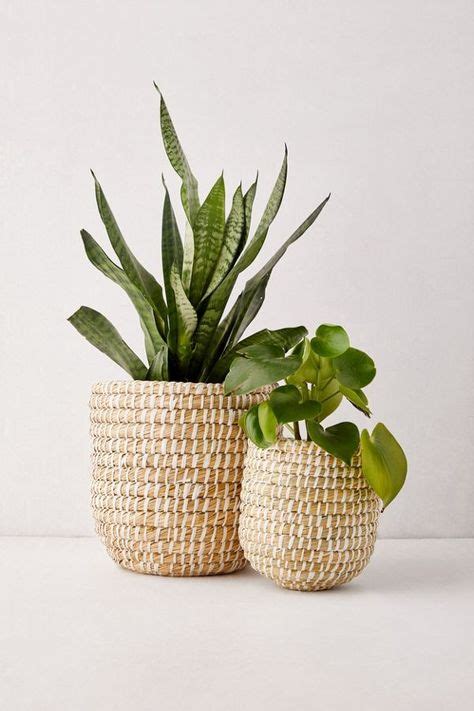 8 Boho Planters Ideas In 2021 Planters Plant Decor Plants