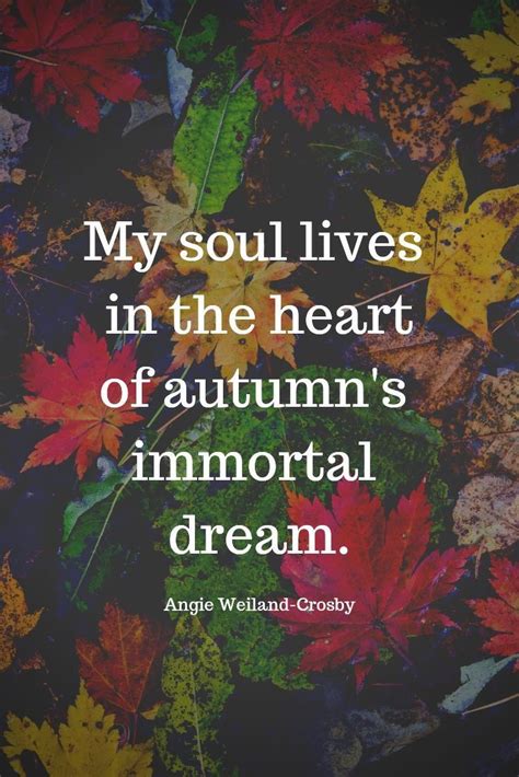 60 Autumn Quotes Fall Quotes And Captions To Enchant And Deepen The