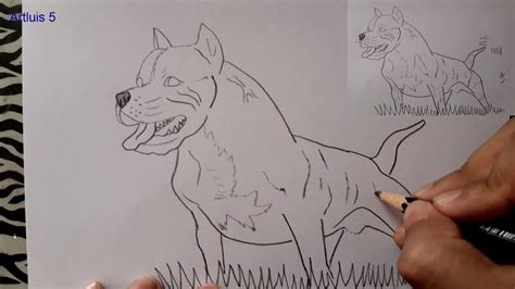 Detalle Imagen Lapiz Facil Dibujos De Perros Pitbull Thptnganamst