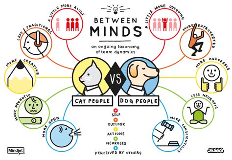 Cat Person Vs Dog Person Visually