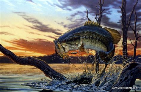 Artist Al Agnew Unframed Largemouth Bass Fishing Art Print Strike King
