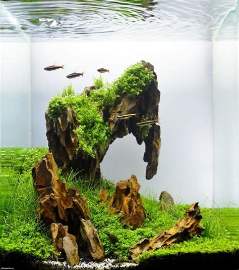 A choice of corresponding wood parts; Stunning Aquascape Design Ideas 37 | Aquascape aquarium ...