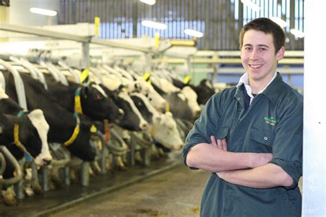 Agriculture Dairy Reaseheath College