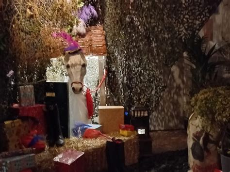 sinterklaas en 5 december rkbs de parkiet