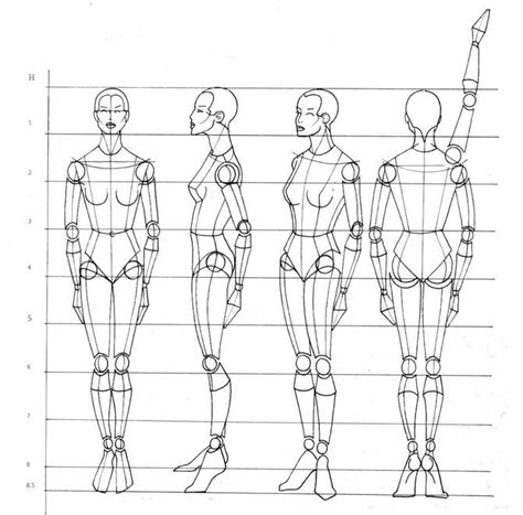 Sueños De Oro Dibujo De Figurines Del Cuerpo Humano Human Body