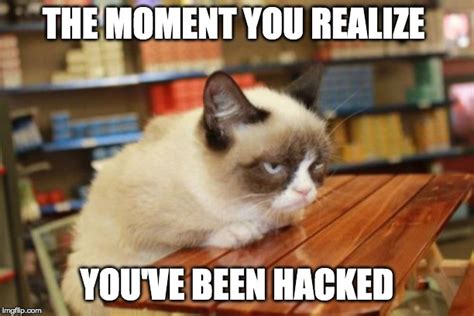Grumpy Cat Table Memes Imgflip