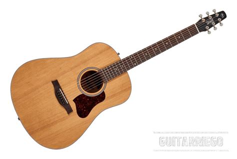 🎸best Cheap Acoustic Guitars For Beginners For Any Budget Review