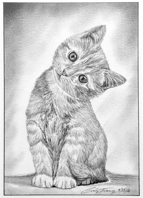 Sketch Of A Kitten By Craig Tracy Catsandkittensart Craig Kitten