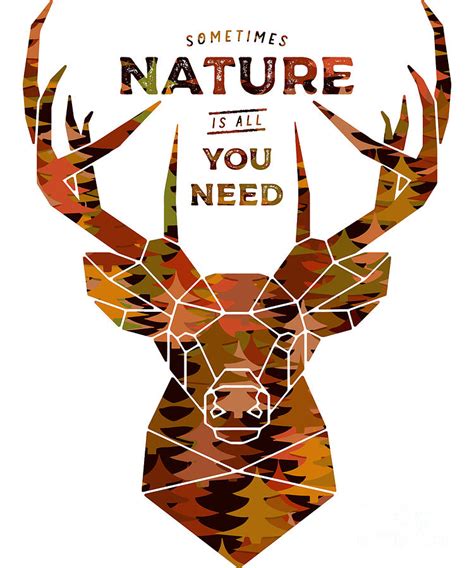 Sometimes Nature Is All You Need Deer Nature Quote Inspirational