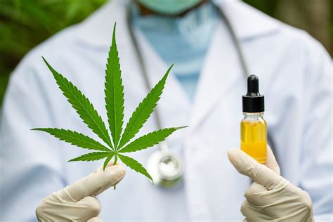 Medicinal Cannabis Oil In Epilepsy Mediblurb