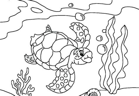 Grab a bite to eat at one of the food trucks. Sea World Coloring Pages at GetColorings.com | Free ...