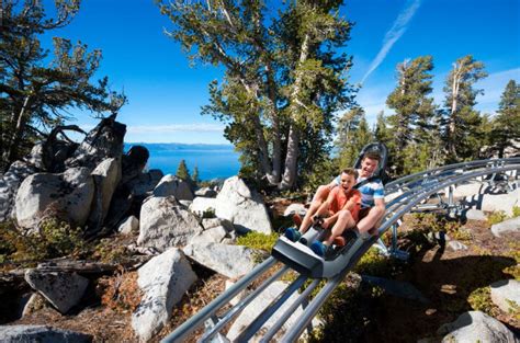 Ridge Rider Mountain Coaster Visit Lake Tahoe