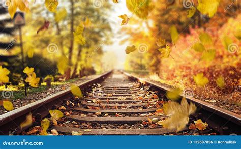 Colorful Autumn Leaves Falling Down On Railway Tracks Stock Photo