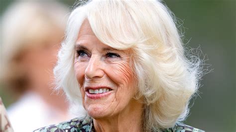 Queen Camilla Is An “amazing Granny” Says Sara Parker Bowles Vanity Fair