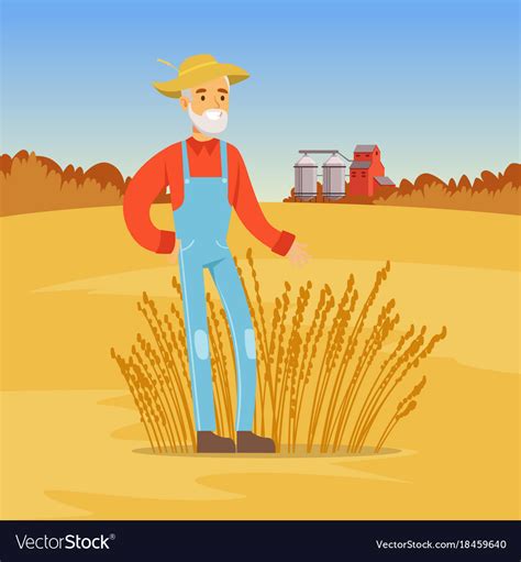 Mature Farmer Man Harvesting Wheat Agriculture Vector Image