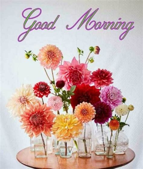 15+ beautiful good morning love images with flowers. Pin by santanu kundu on Good morning images in 2020 | Good ...