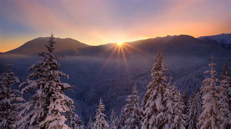 Sunset Winter Nature Lesogore Cold Beautiful Trees Landscapes Mountains