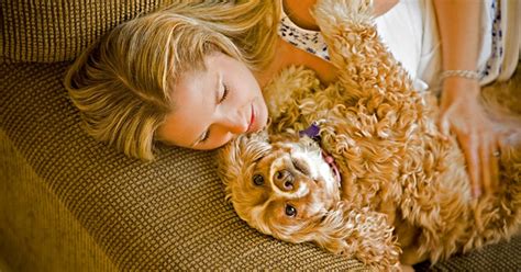 5 Ways Pets Can Ease Your Stress