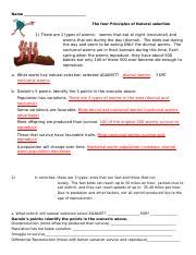 With the worksheet, students can realize the subject matter in general more easily. Darwin S Natural Selection Case Studies Worksheet Answers ...