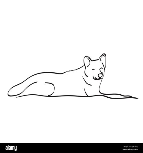 Dog Lying Down Drawing