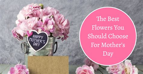 The Best Flowers You Should Choose For Mothers Day