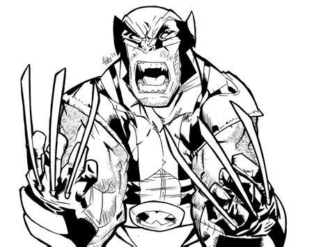 Wolverine Lineart By Akatohdz On Deviantart