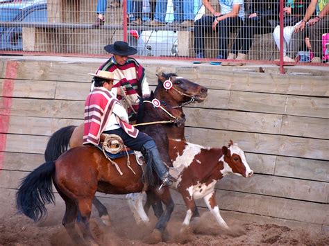 Best Time For Rodeo In Chile 2024 Best Season Roveme