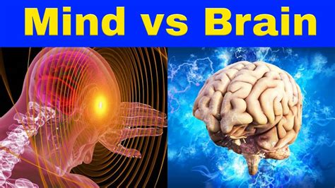 मन और दिमाग में क्या अंतर हैं Mind Vs Brain Definition Mind Vs Brain Difference Facttak