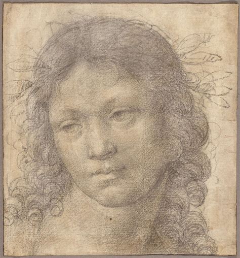 Renaissance Drawing Its Function And Historical Background