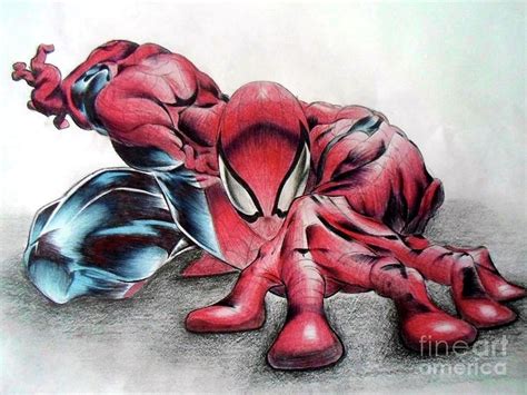 Spider Man Drawing By William Mckay