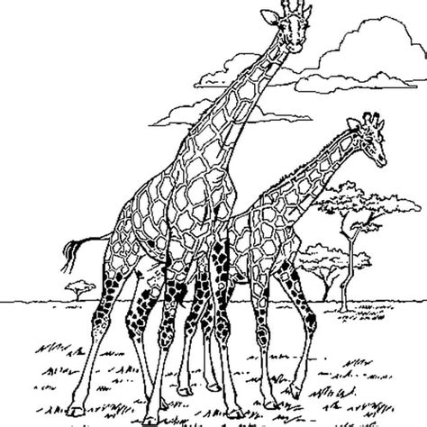 Coloriage Girafe Dafrique En Ligne Gratuit à Imprimer