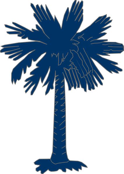 South Carolina Flag Vector