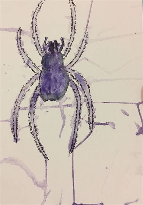 Watercolour Spider Watercolor Watercolour Painting Humanoid Sketch