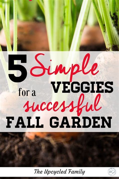 5 Easy To Grow Veggies For Your Successful Fall Garden Fall Garden