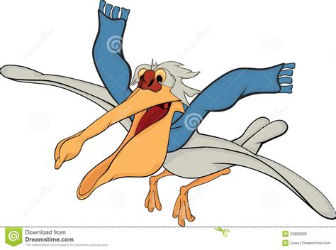 Pelican Cartoon Royalty Free Stock Images Image 23850399