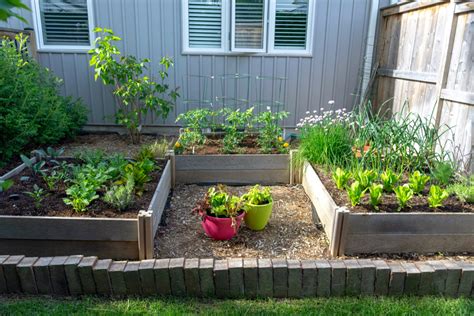6 Small Garden Ideas And Tips Small Space Gardening