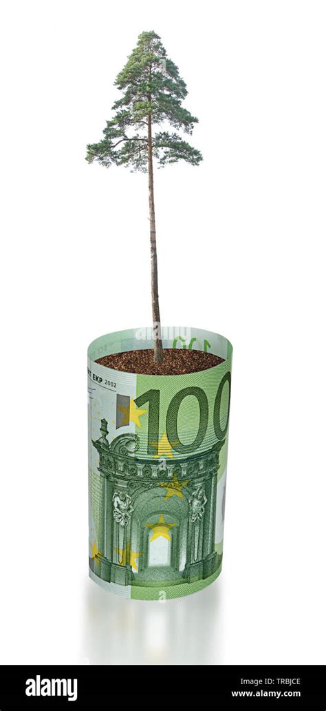 Tree Growing From Euro Bill Stock Photo Alamy