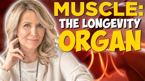 How To Lose Weight And Build Muscle For Longevity Dr Gabrielle Lyon