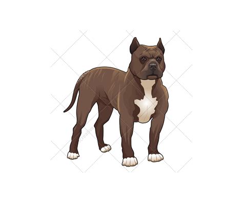 Realistic Dog Vector Pack Animal Vector Graphics