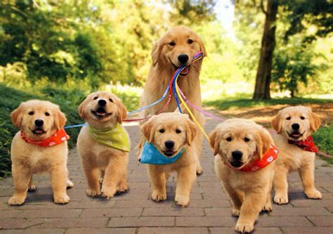 15 Awesome Pics Of Proud Dog Mommies With Their Cute