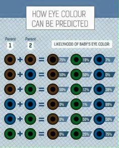 Some Eye Pigments English For Life Theonlyconsultingtimelady Vashiane