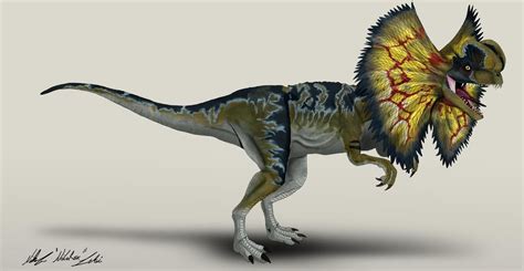 Jurassic Park Dilophosaurus By Nikorex On Deviantart Jurassic Park