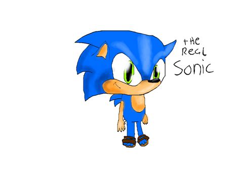 The Real Sonic By Sonicshade X On Deviantart