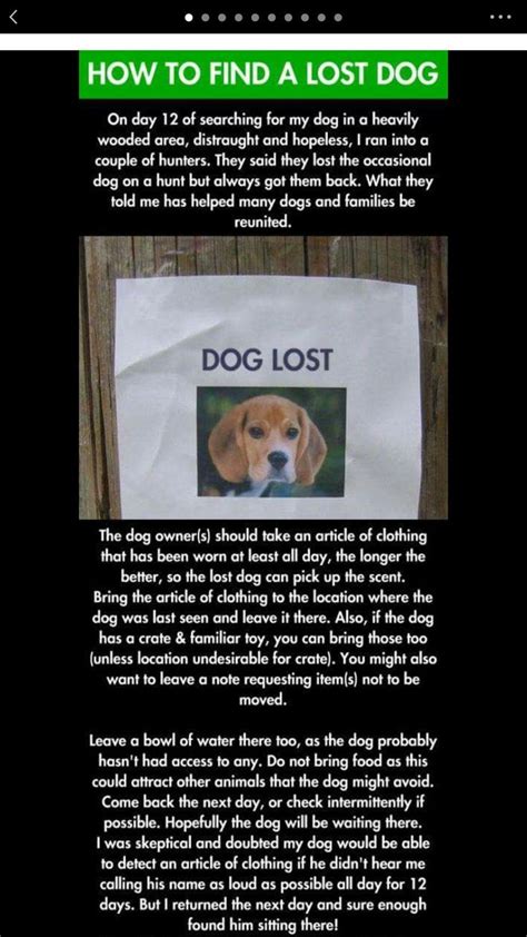 How To Find Lost Dog Losing A Dog Dog Life Hacks Dog Quotes