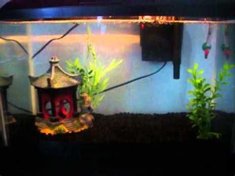 But if you would go for an aquarium theme this is more natural and fresh, then the asian concept is the best… 10 Gallon Fish Tank Asian Decoration - YouTube