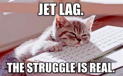 14 jet lag jokes for anyone who s living the plane life buzzfeed