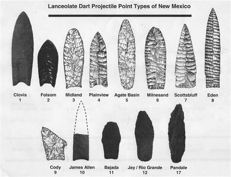 Projectile Points Photos Indian Artifacts Native American Artifacts