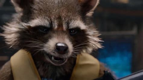 It's a dazzling spectacle of gloriously bizarre entertainment. Guardians of the Galaxy: Why Rocket Raccoon is Awesome ...