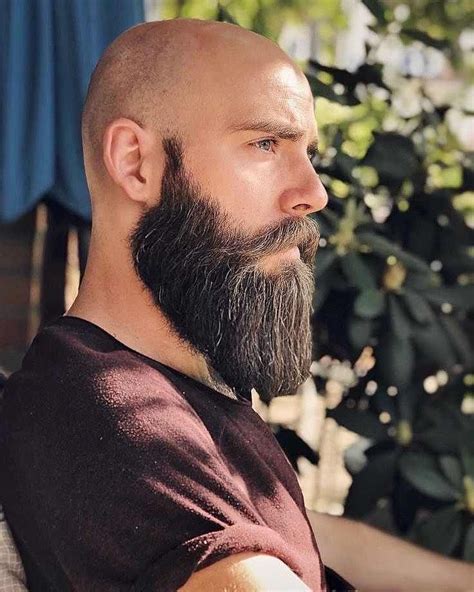 Bald Guys With Beards Pics Shizue Boothe