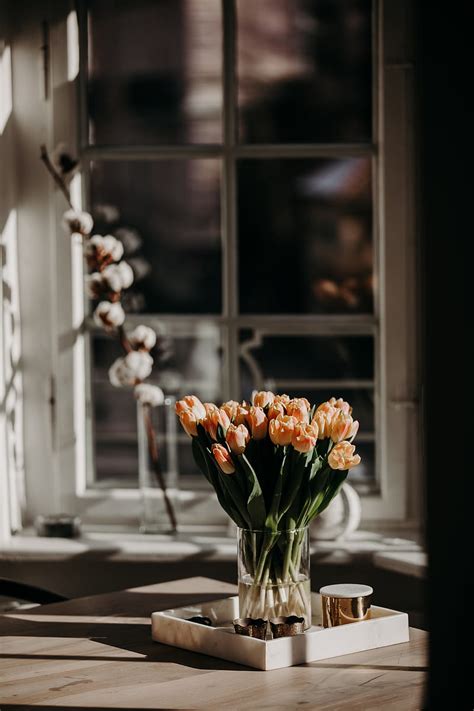 Tulips Flowers Bouquet Light Aesthetics Hd Phone Wallpaper Peakpx